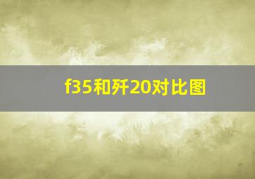 f35和歼20对比图