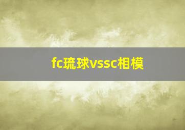 fc琉球vssc相模