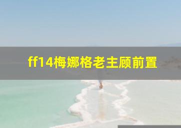 ff14梅娜格老主顾前置