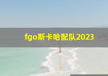 fgo斯卡哈配队2023