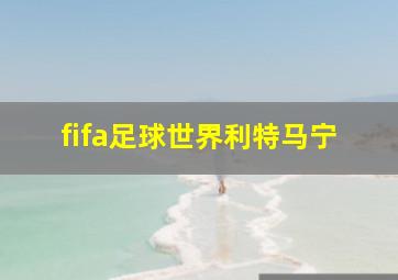 fifa足球世界利特马宁