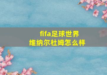 fifa足球世界维纳尔杜姆怎么样