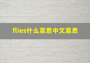 flies什么意思中文意思