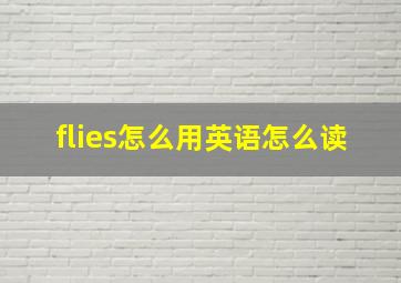 flies怎么用英语怎么读