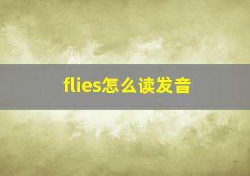 flies怎么读发音