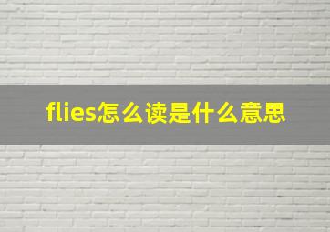 flies怎么读是什么意思