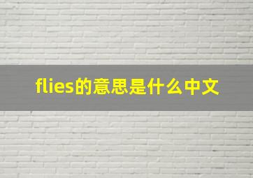 flies的意思是什么中文