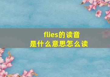 flies的读音是什么意思怎么读