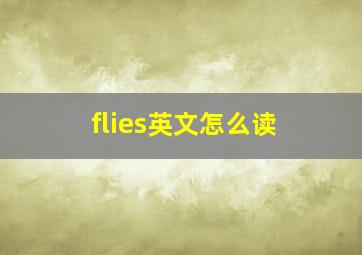 flies英文怎么读