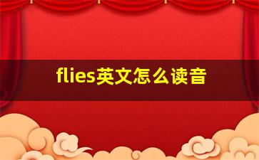 flies英文怎么读音