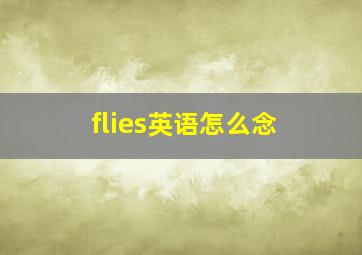 flies英语怎么念