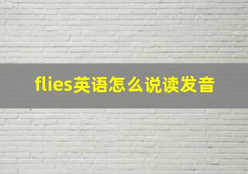 flies英语怎么说读发音