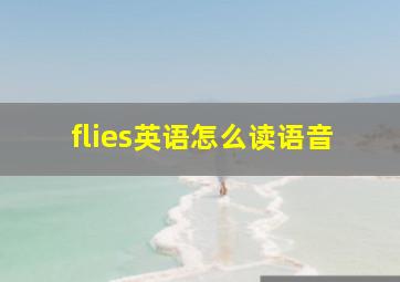 flies英语怎么读语音