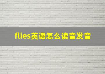 flies英语怎么读音发音