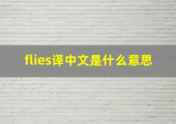 flies译中文是什么意思