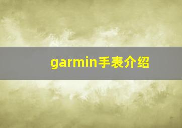 garmin手表介绍