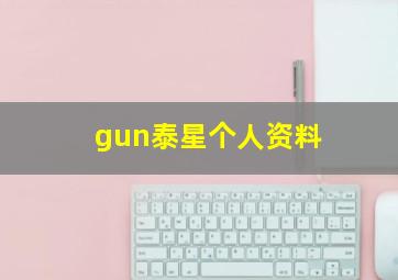 gun泰星个人资料