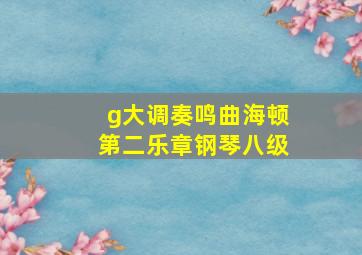 g大调奏鸣曲海顿第二乐章钢琴八级