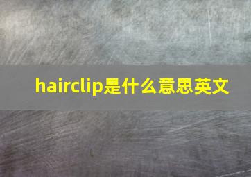 hairclip是什么意思英文