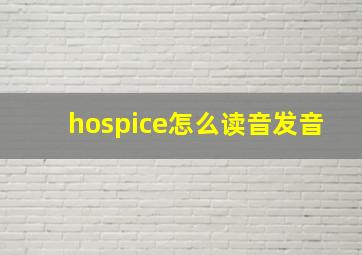 hospice怎么读音发音