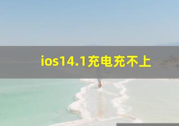 ios14.1充电充不上