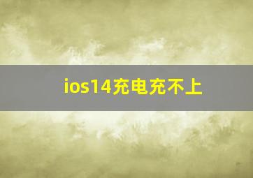 ios14充电充不上