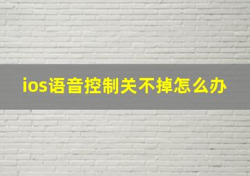 ios语音控制关不掉怎么办