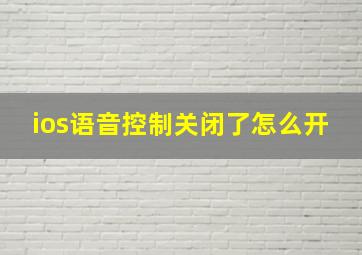 ios语音控制关闭了怎么开