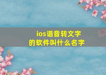 ios语音转文字的软件叫什么名字