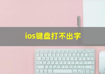 ios键盘打不出字