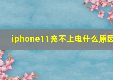 iphone11充不上电什么原因