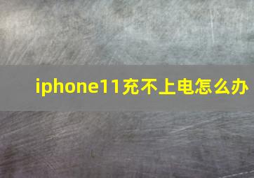 iphone11充不上电怎么办