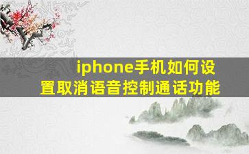 iphone手机如何设置取消语音控制通话功能