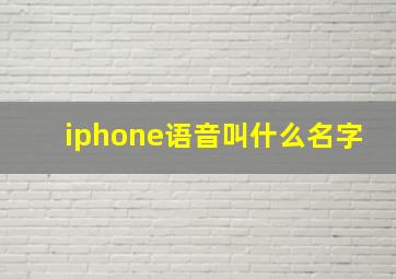 iphone语音叫什么名字