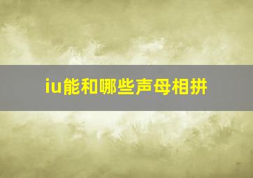 iu能和哪些声母相拼