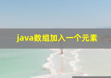 java数组加入一个元素