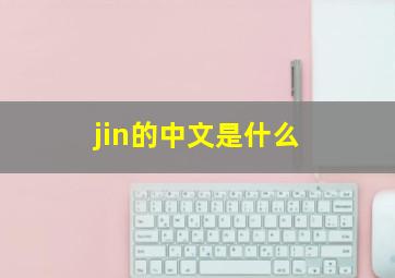 jin的中文是什么