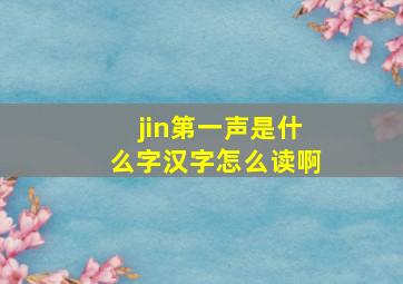 jin第一声是什么字汉字怎么读啊