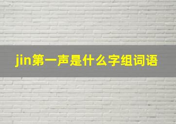 jin第一声是什么字组词语