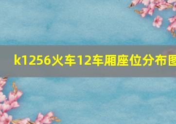 k1256火车12车厢座位分布图