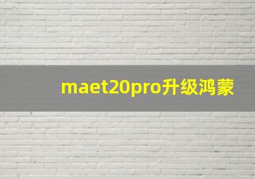 maet20pro升级鸿蒙