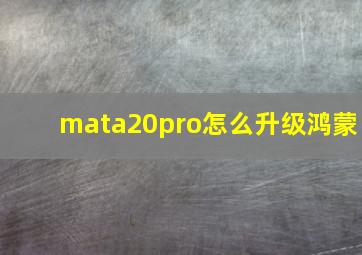 mata20pro怎么升级鸿蒙