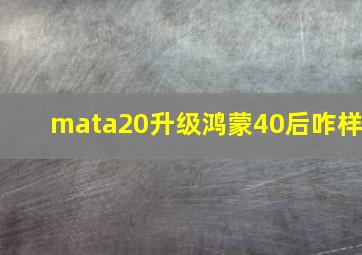 mata20升级鸿蒙40后咋样