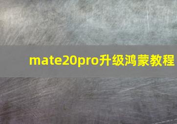 mate20pro升级鸿蒙教程