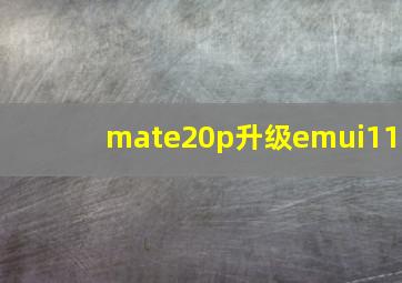 mate20p升级emui11