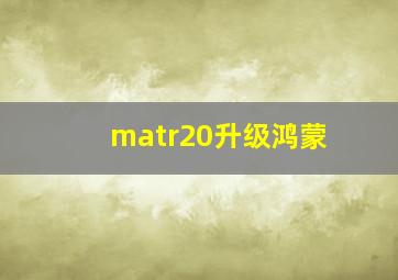 matr20升级鸿蒙