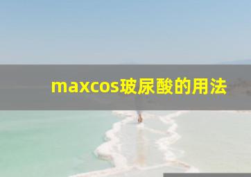 maxcos玻尿酸的用法