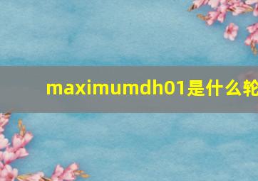 maximumdh01是什么轮胎