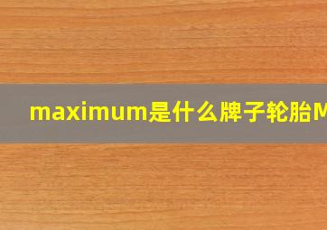 maximum是什么牌子轮胎MH100