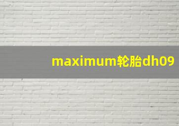 maximum轮胎dh09